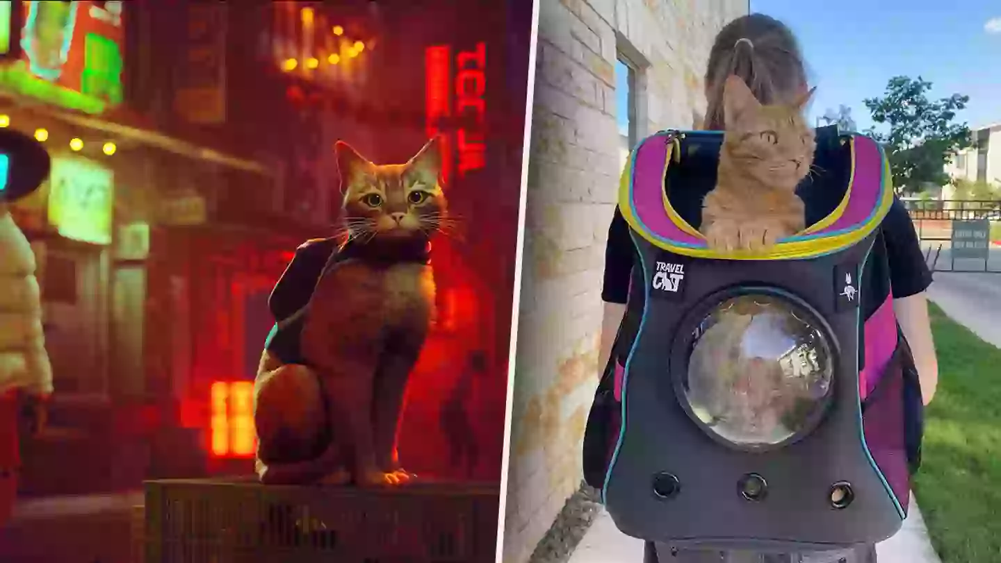 Official ‘Stray’ Merch Lets You Take Your Cat On IRL Adventures
