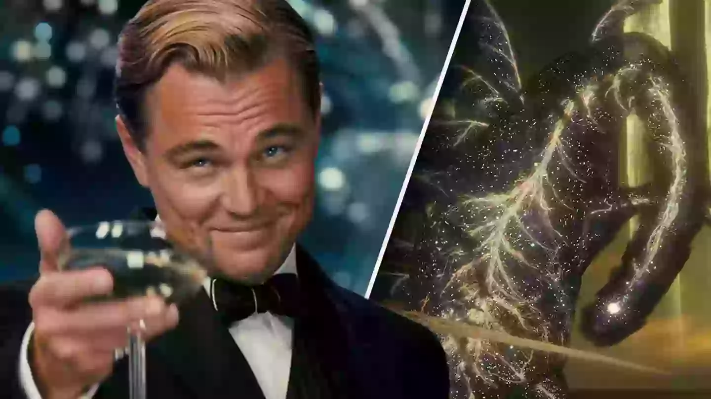 ‘Elden Ring’ Player Beats Game Without Ever Levelling Up