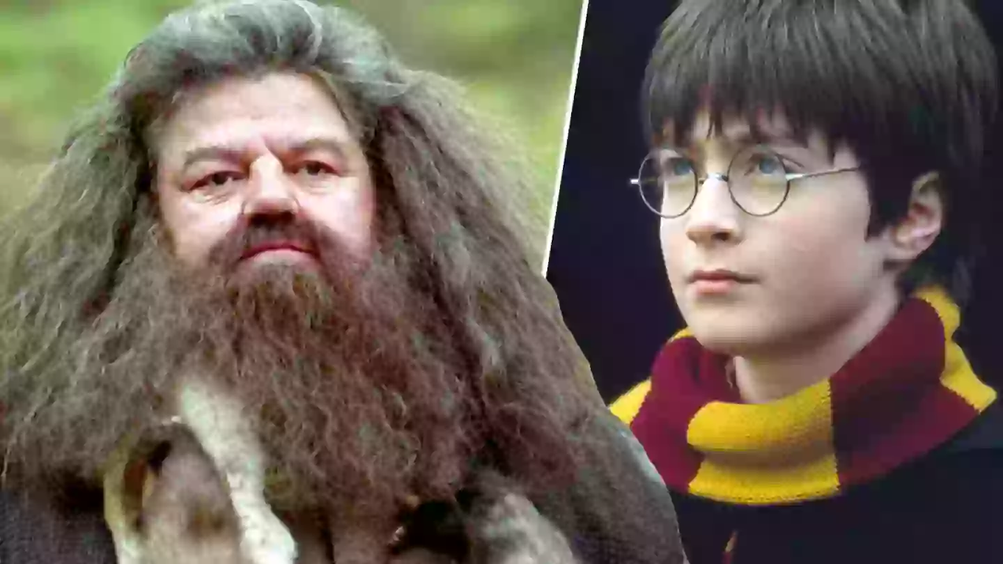 Harry Potter fans seriously divided over new Hagrid casting: ‘I don’t see it’