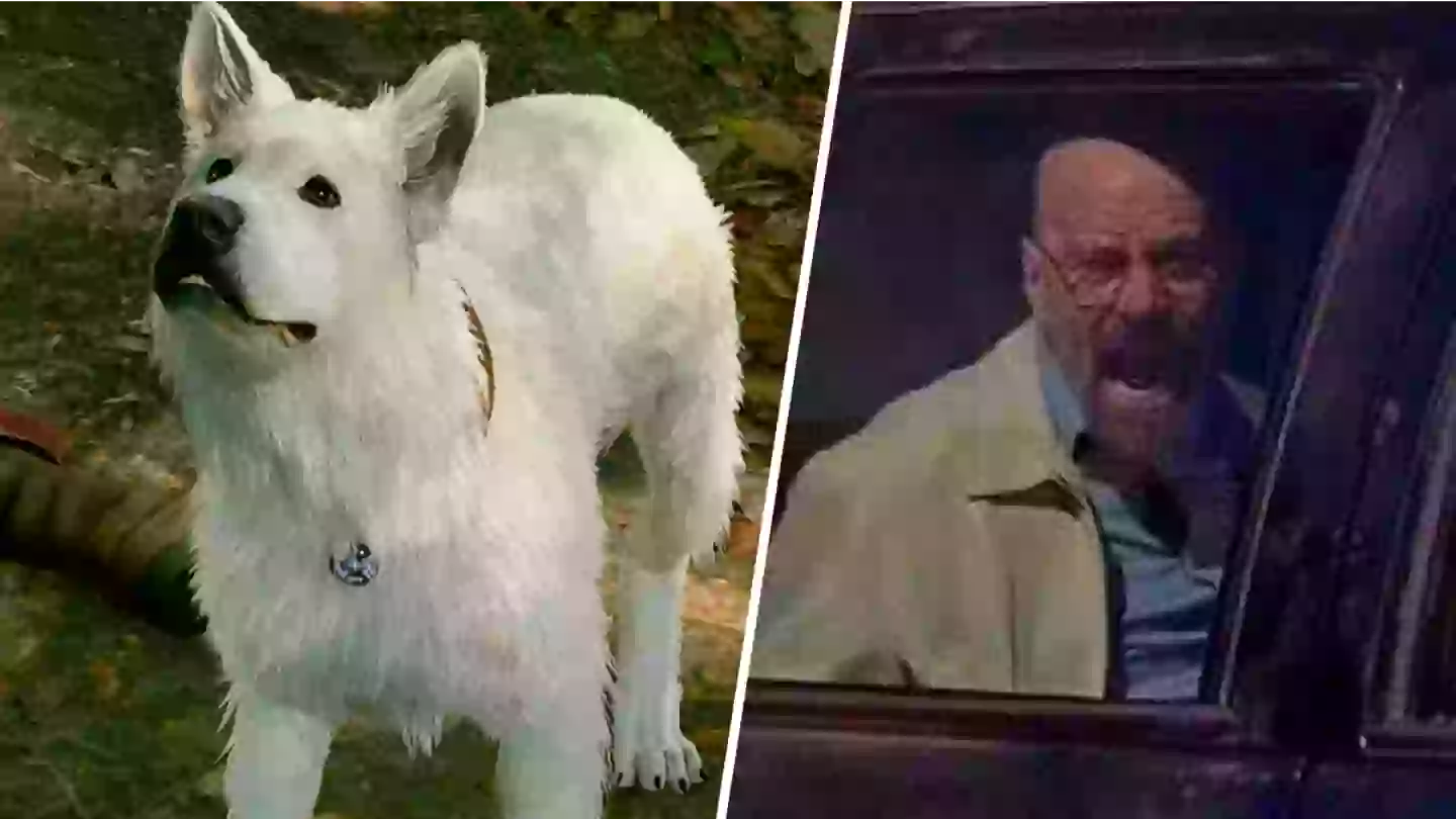 Baldur’s Gate 3 player accidentally kills Scratch the dog while playing fetch