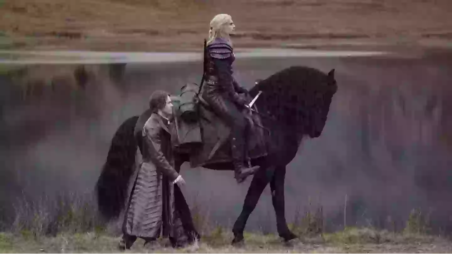 The Witcher fans pay tribute as horse who played Roach passes away