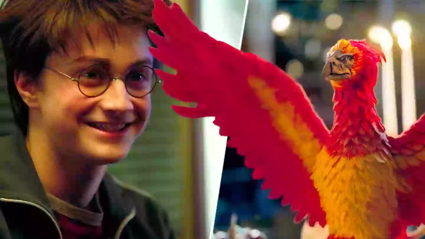 Harry Potter fans delighted by new series you might have missed