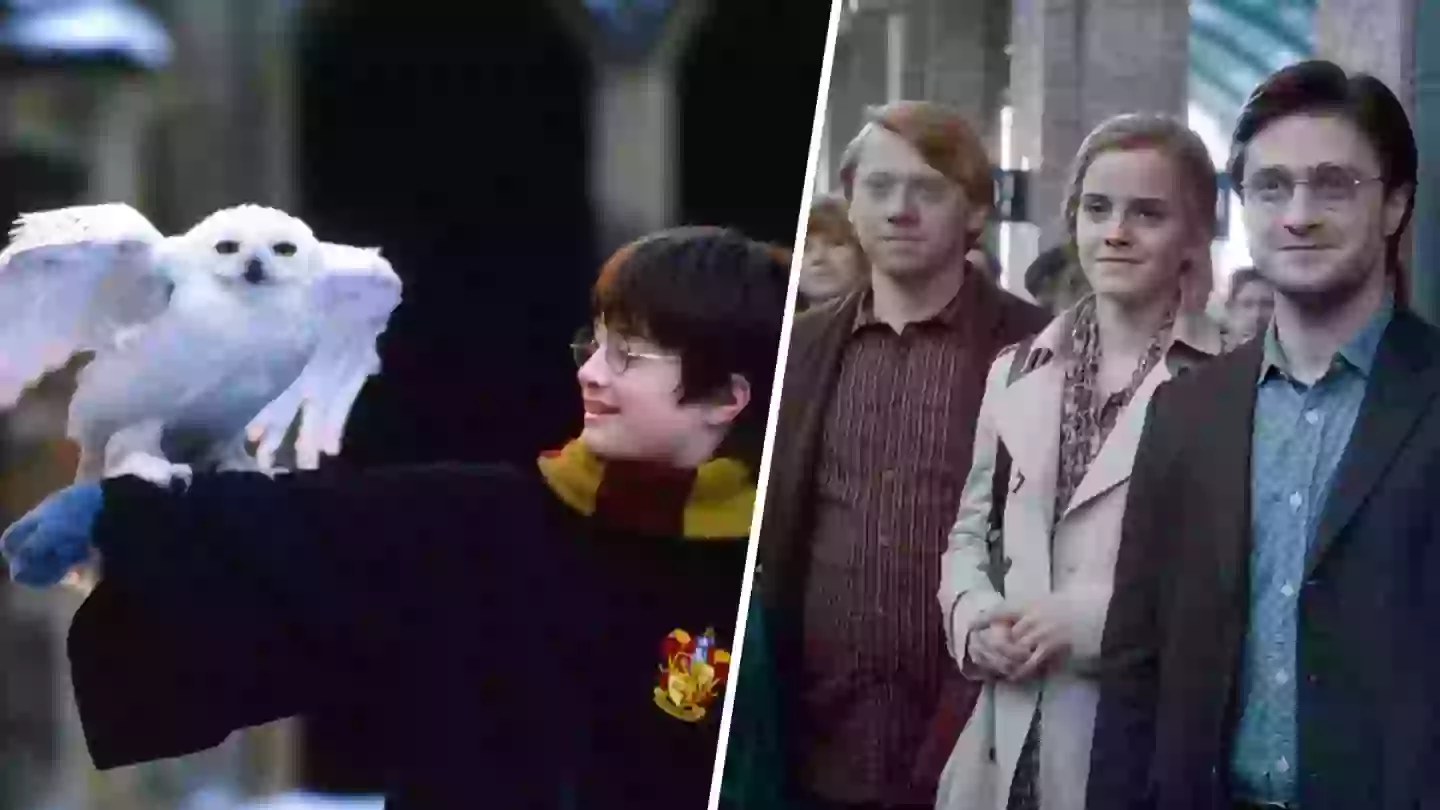 Harry Potter HBO series gets first substantial teaser