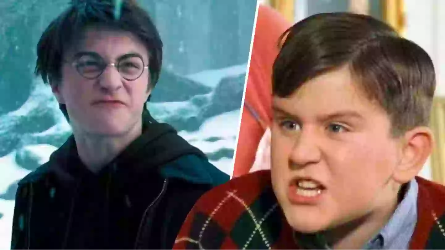 Harry Potter fans warmed to learn what happened to Dudley after Deathly Hallows