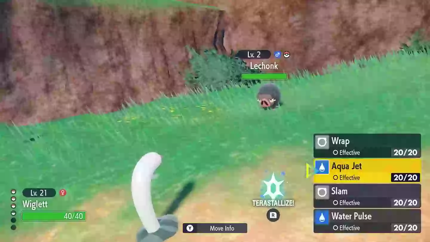 Lechonk never stood a chance