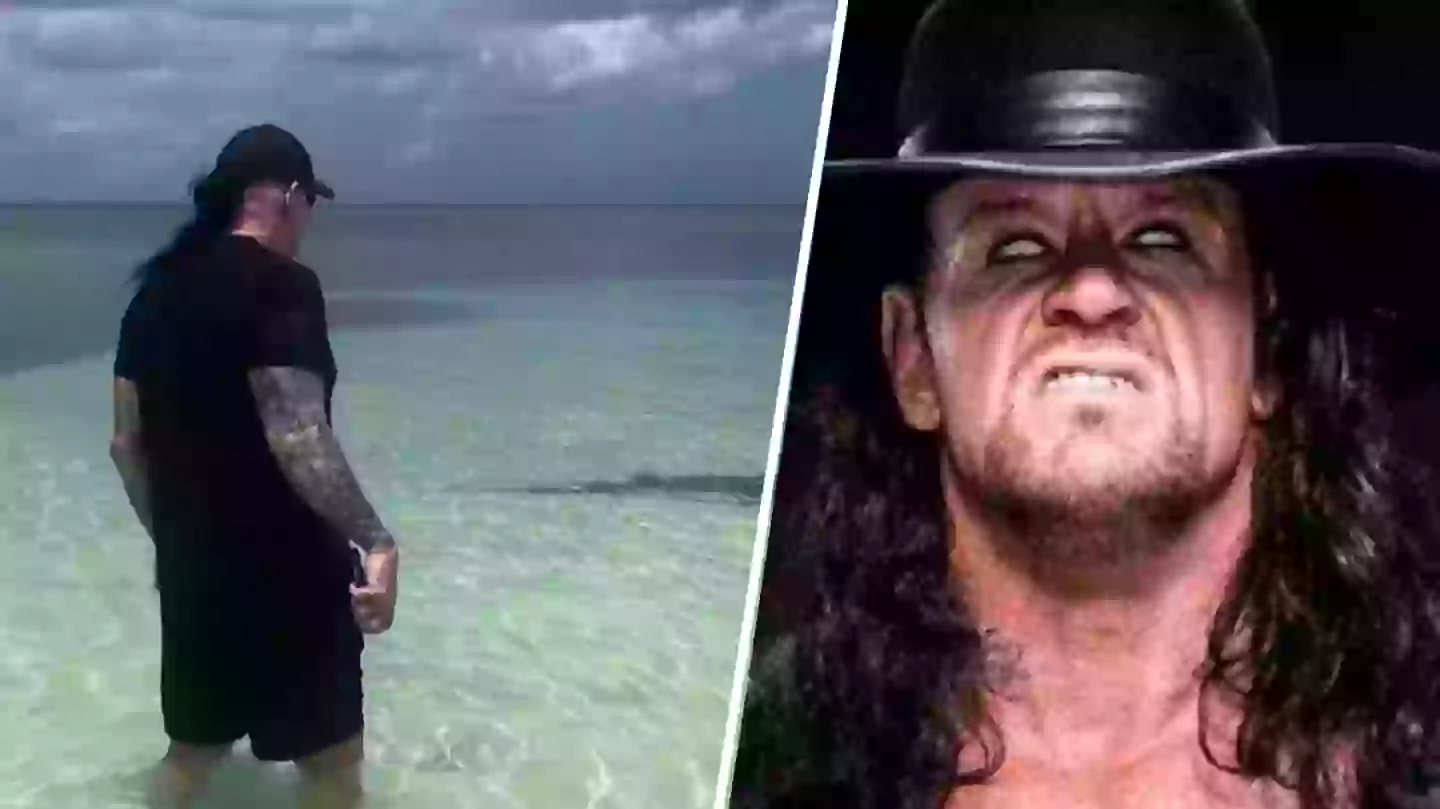 WWE star The Undertaker protects wife from shark attack in viral footage