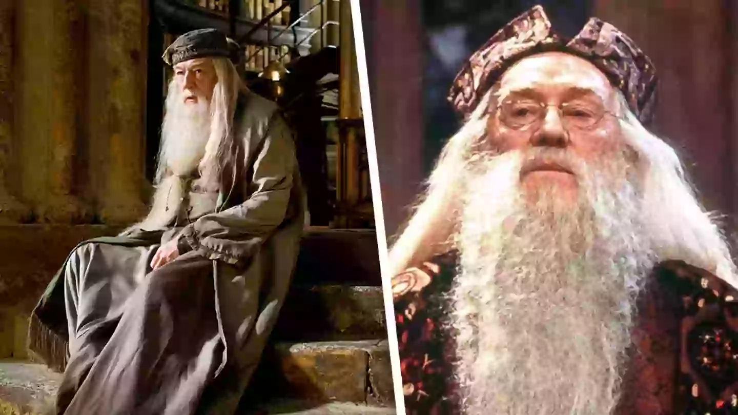 Harry Potter fans united over reboot Dumbledore casting