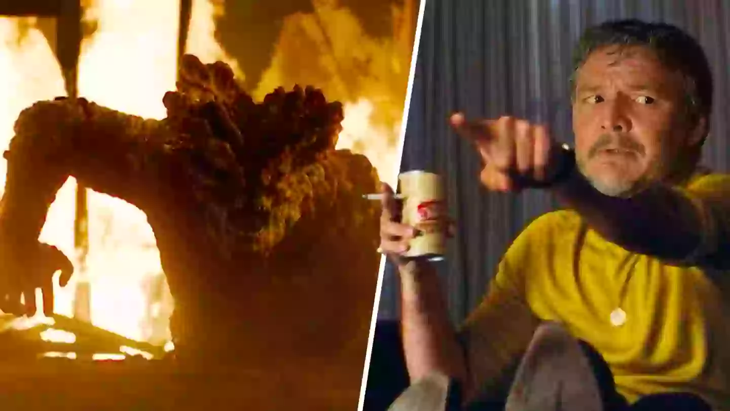 ‘Dangerous fungi’ spreading across the US as temperatures rise, gamers terrified