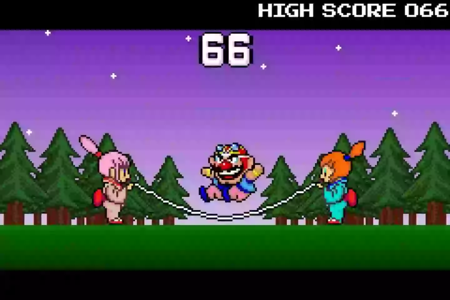 Wario Ware Inc
