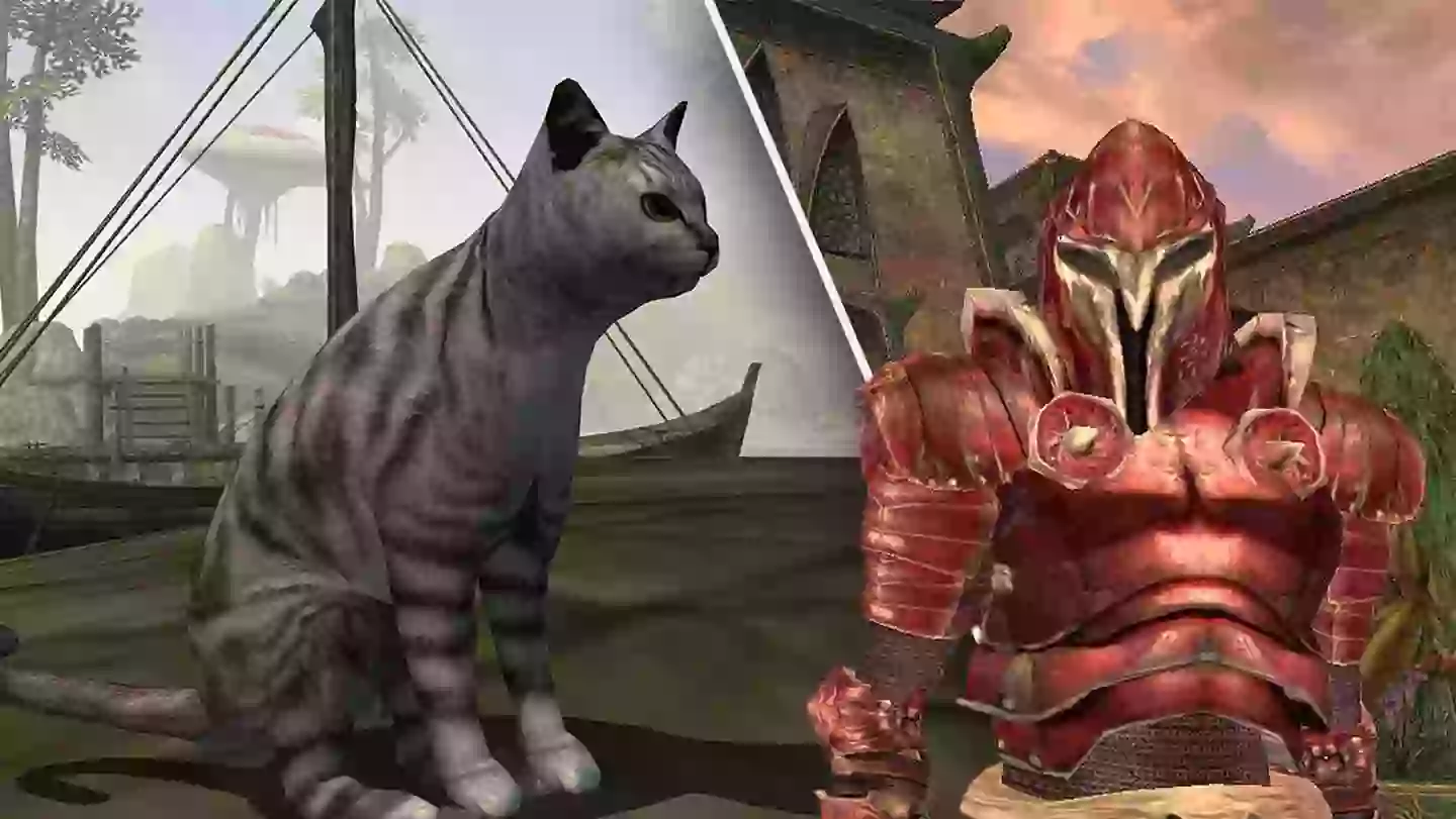 Parent Mods Family Cat Into ‘Morrowind’ To Protect Kids From Monsters