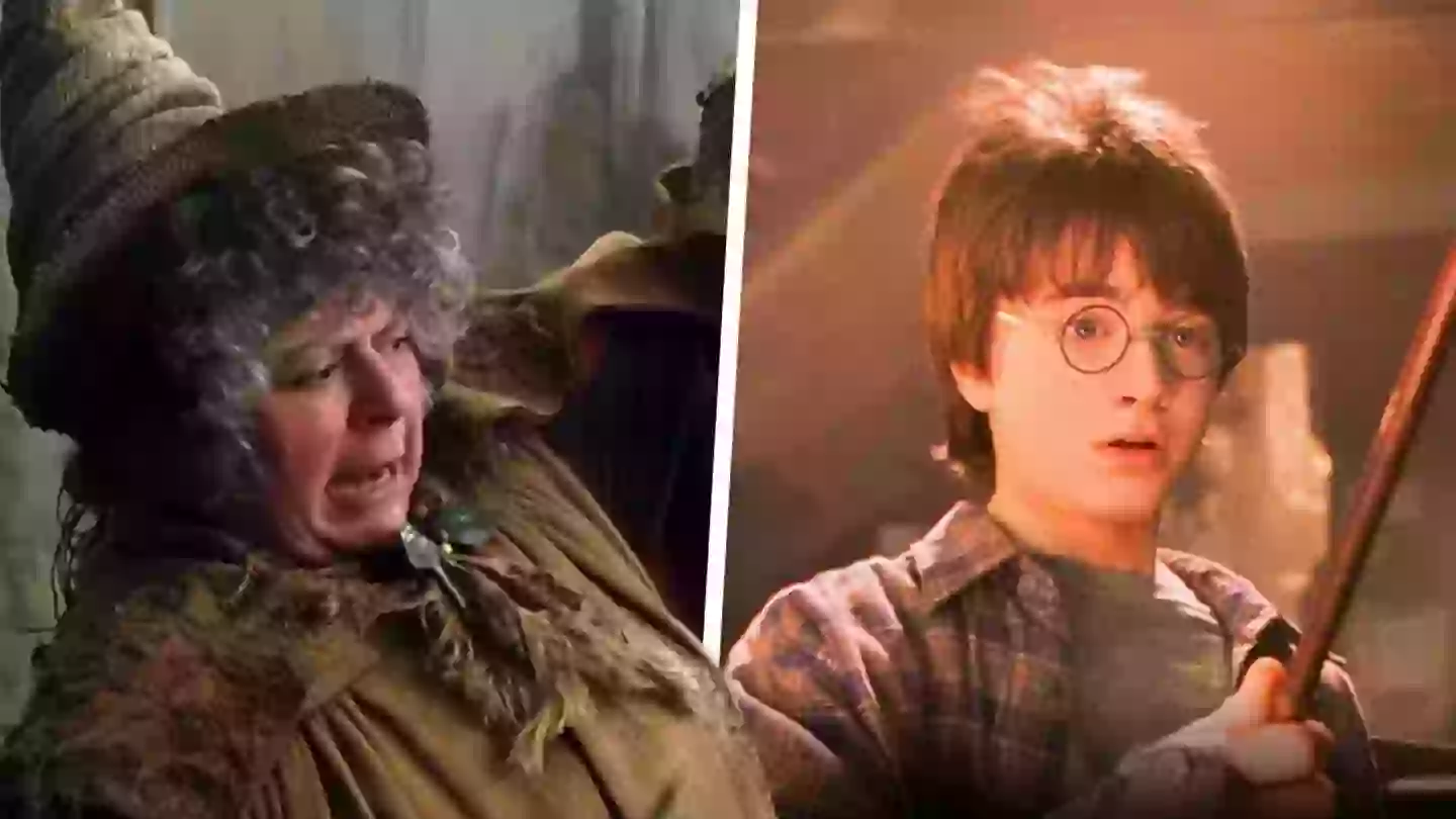 Harry Potter new adaptation announced, much to the delight of fans