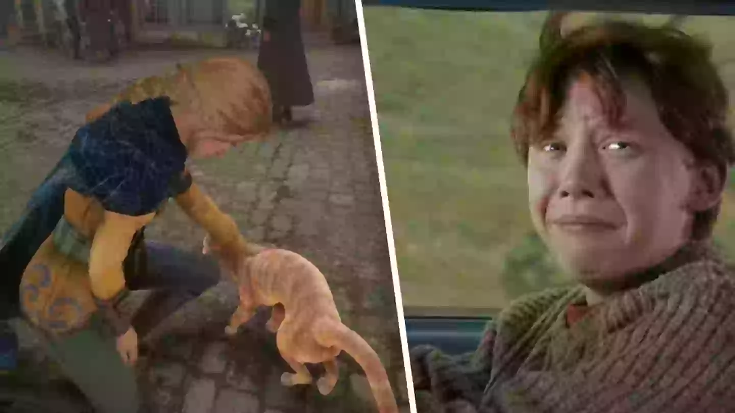 Hogwarts Legacy’s disturbing cat secret has ruined the game