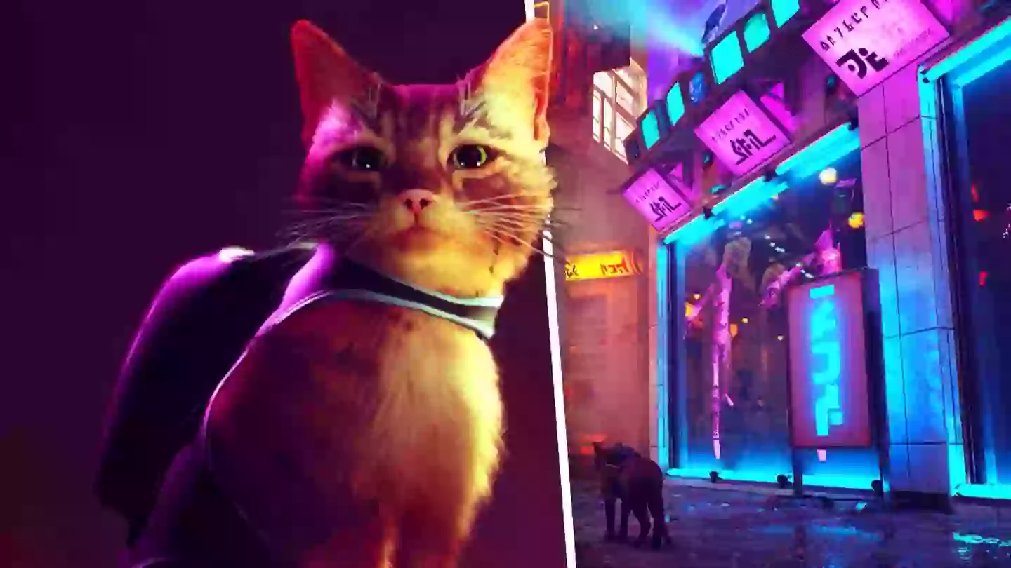 ‘Stray’ Release Date Officially Confirmed By Sony