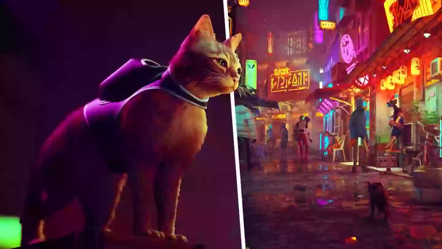 PS5 Cat Sim ‘Stray’ Finally Has A Release Window, And It’s So Soon