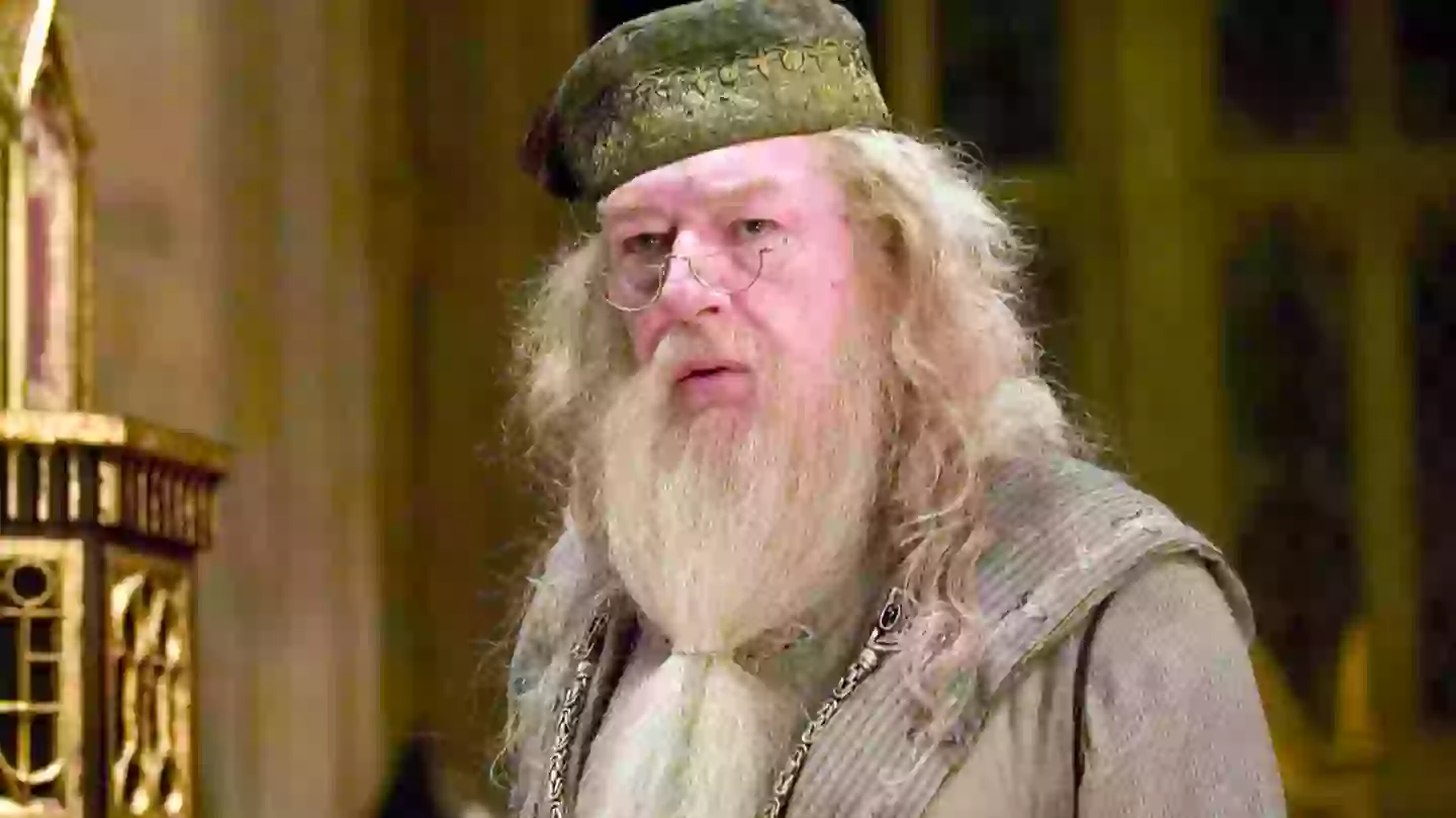Harry Potter HBO Dumbledore casting announcement accidentally confirms when the show will end