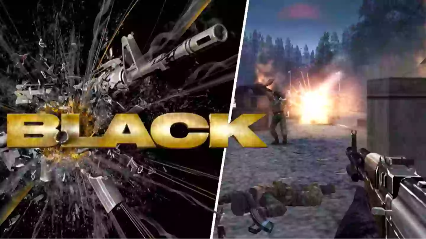 Black sequel plans confirmed by developer