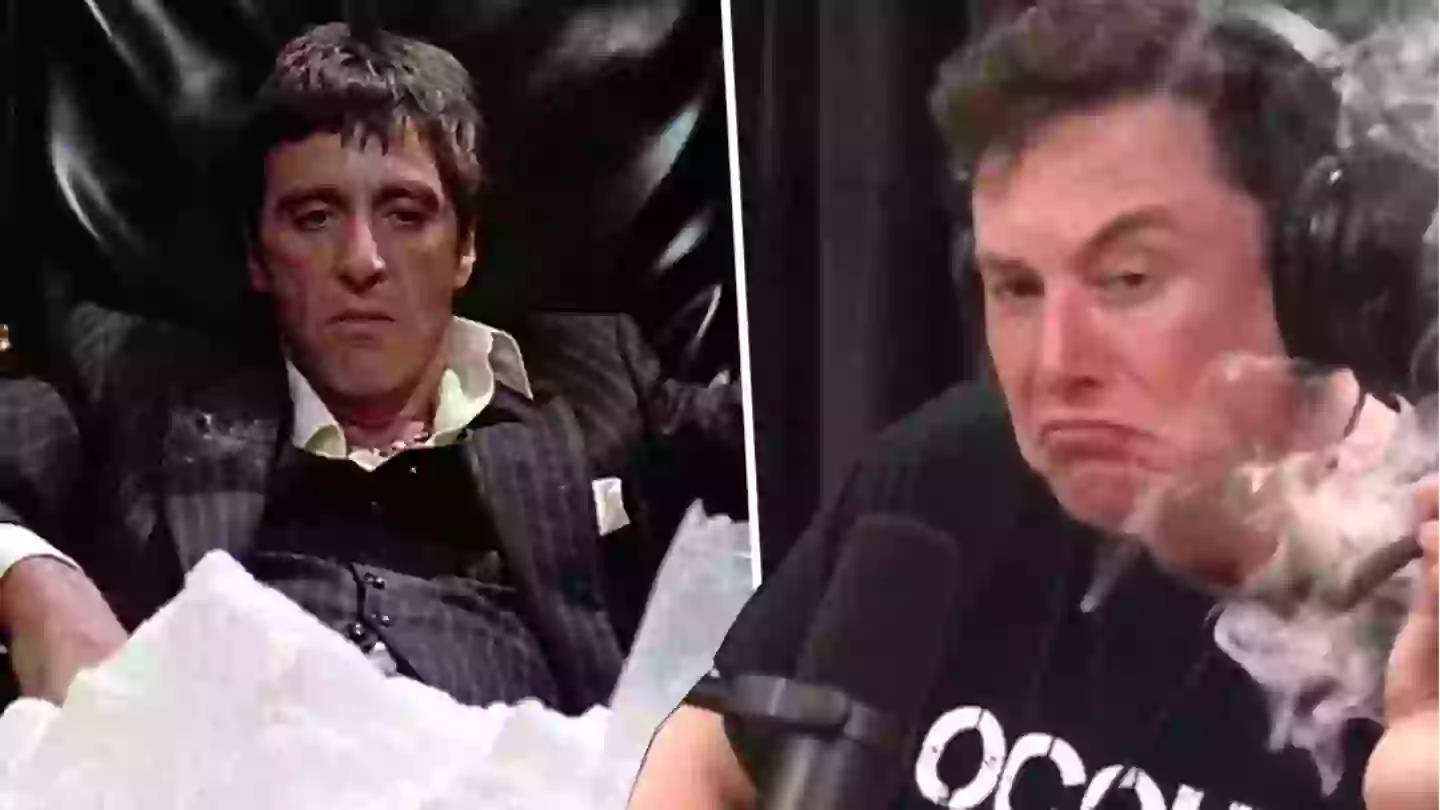 Elon Musk Teases Next Acquisition After $44 Billion Twitter Buyout