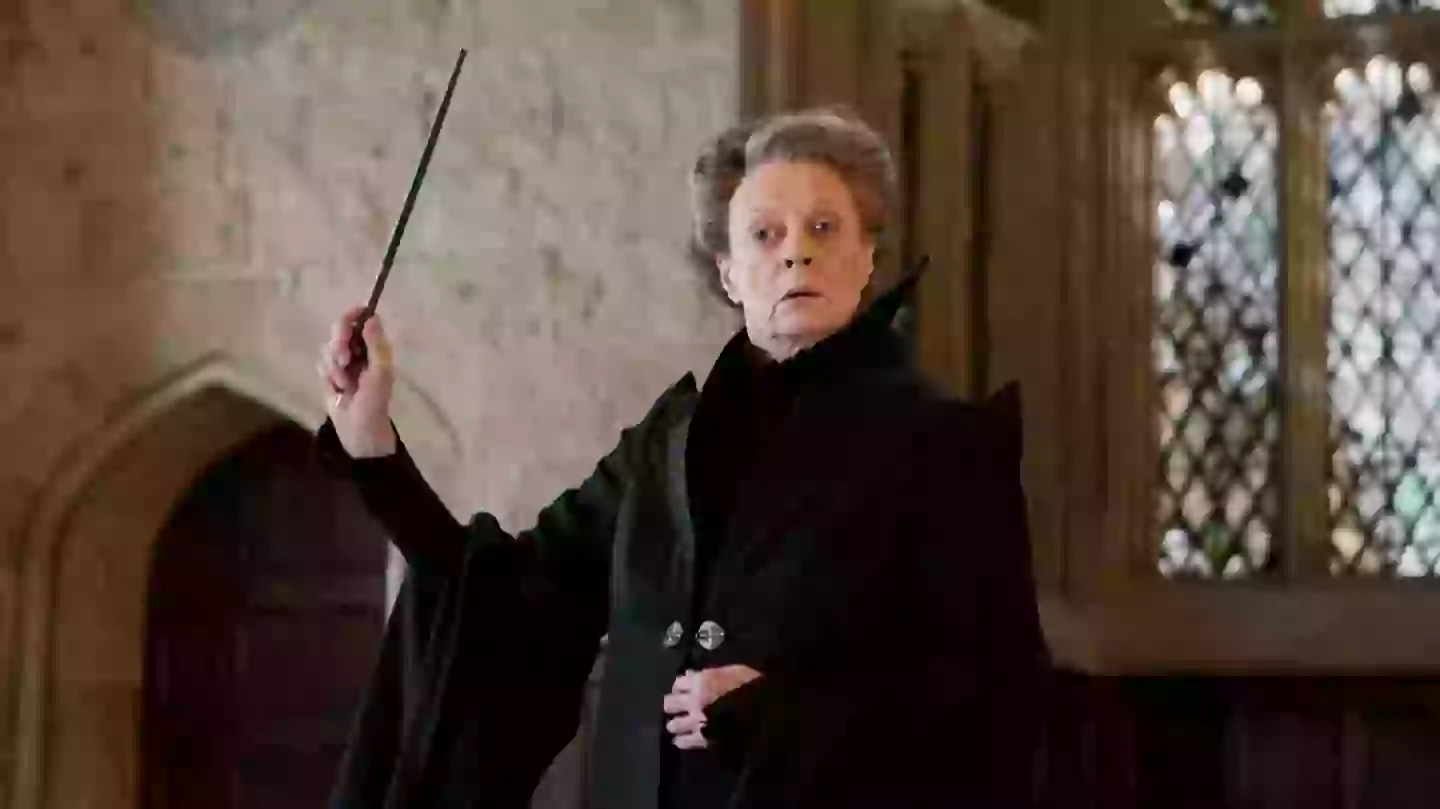 Harry Potter fans torn over controversial McGonagall casting: ‘she’s too young’