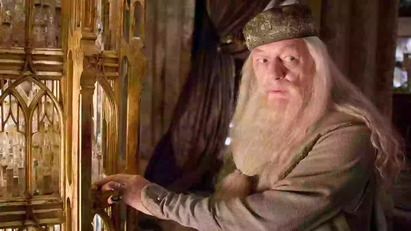 Harry Potter fans lose it as HBO reboot first casting officially confirmed