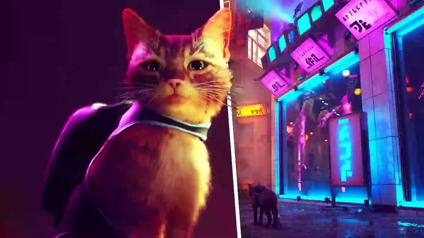 ‘Stray’ Release Date Reportedly Leaked By PlayStation