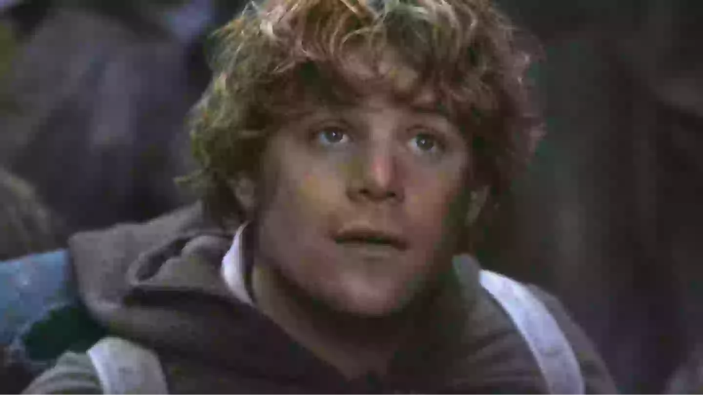 Lord Of The Rings fans finally realise why Sam was able to resist the One Ring