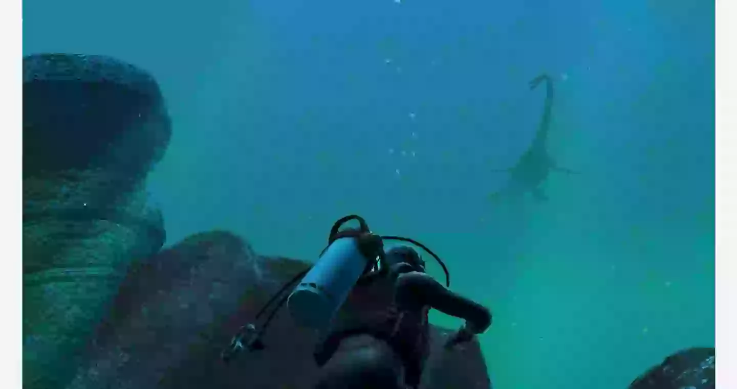 Endless Ocean Luminous-