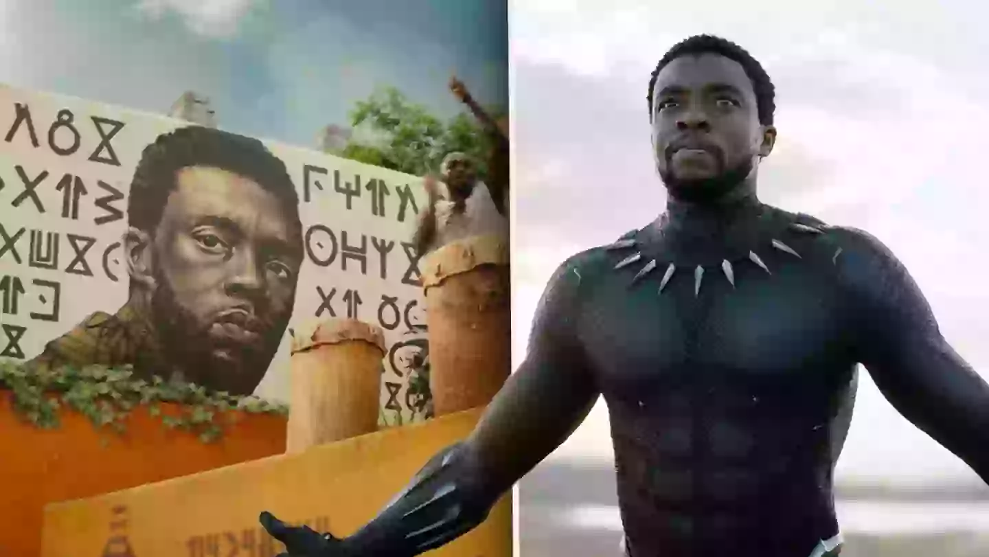 Black Panther Video Game Teased By Insider