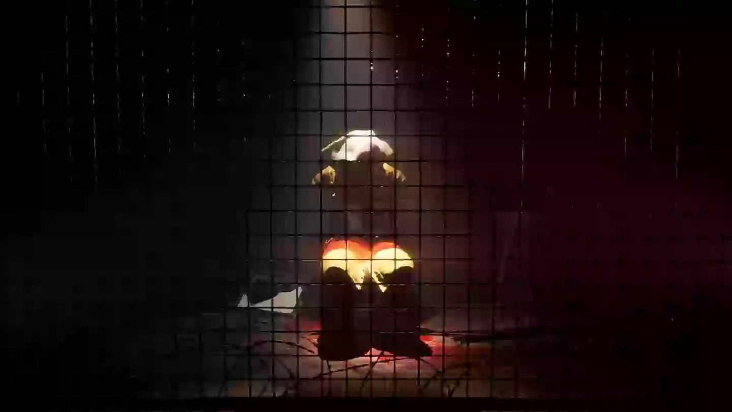 The Dark Pictures Anthology: The Devil in Me /