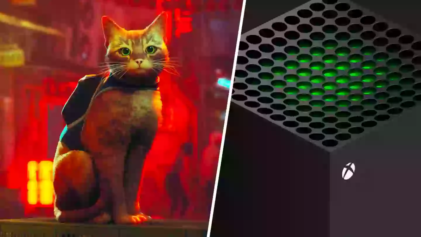 Stray officially confirmed for Xbox, coming in August