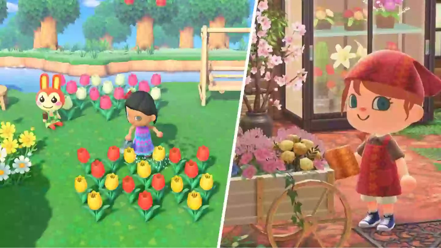 Animal Crossing players heartbroken as game quietly shut down