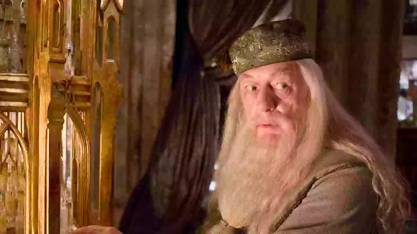 Harry Potter fans losing it over HBO Dumbledore casting