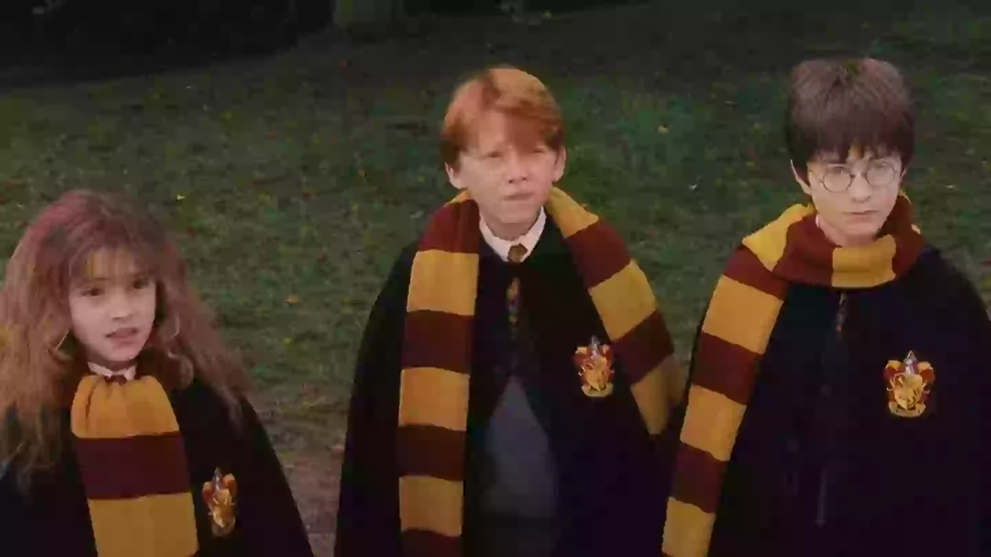 Harry Potter fans unite over Stranger Things star for HBO reboot