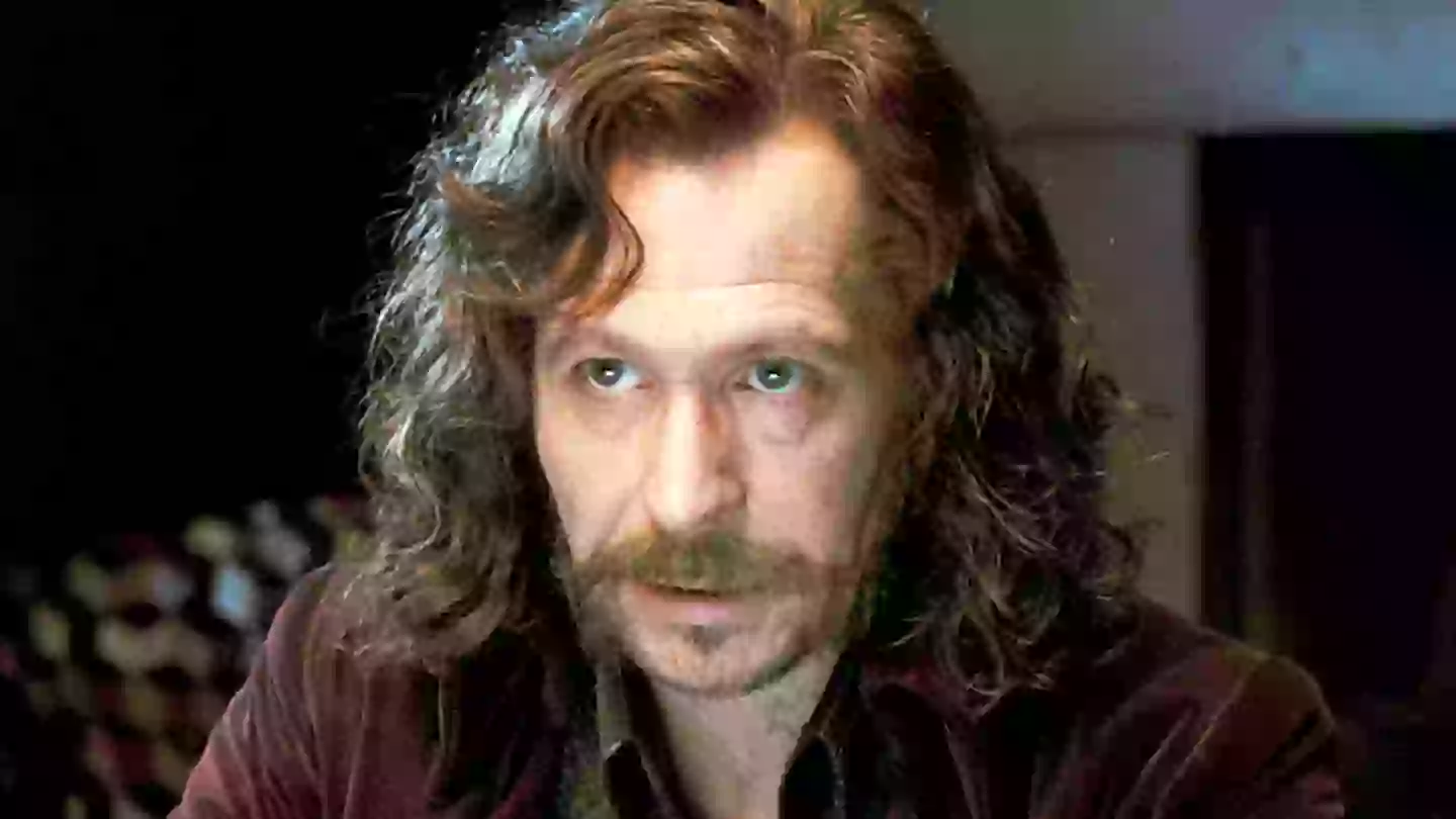 Harry Potter fans just realising 2 major characters were related