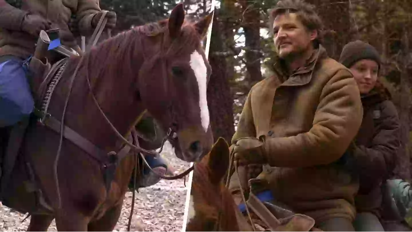 The Last Of Us viewers pour one out for Callus the horse