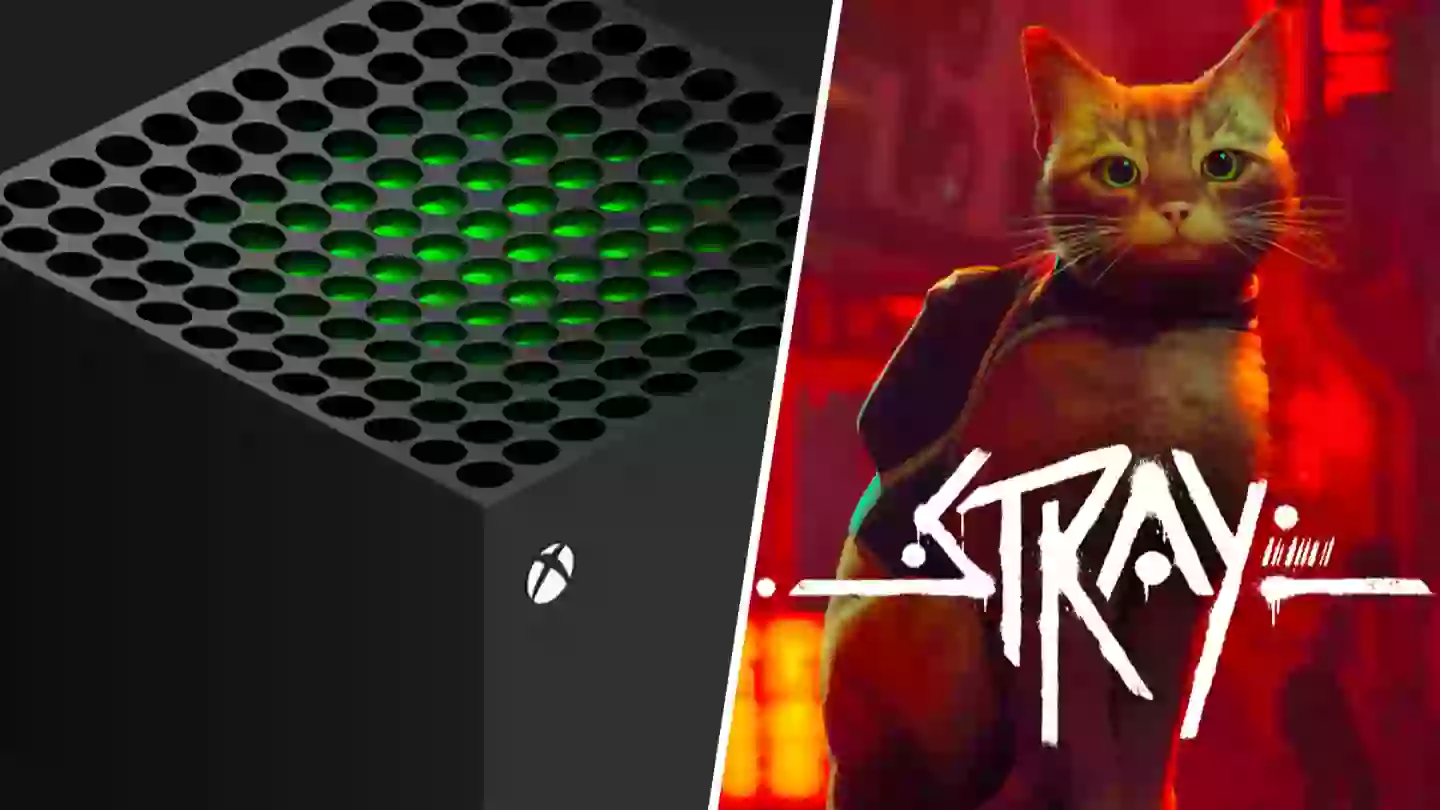 PlayStation’s beloved cat sim Stray coming to Xbox, rating confirms
