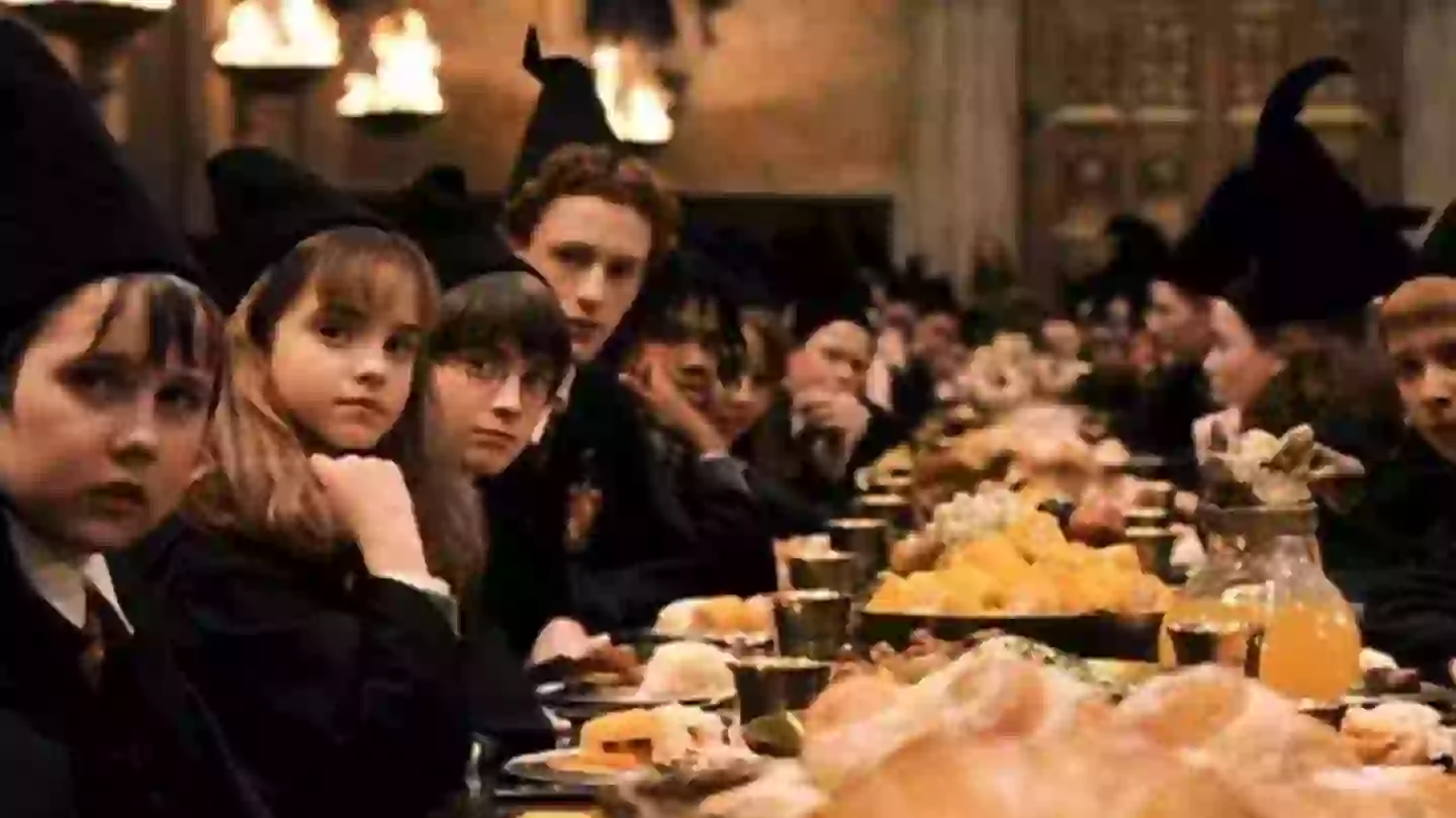 Harry Potter HBO series teaser confirms character we never got in the movies