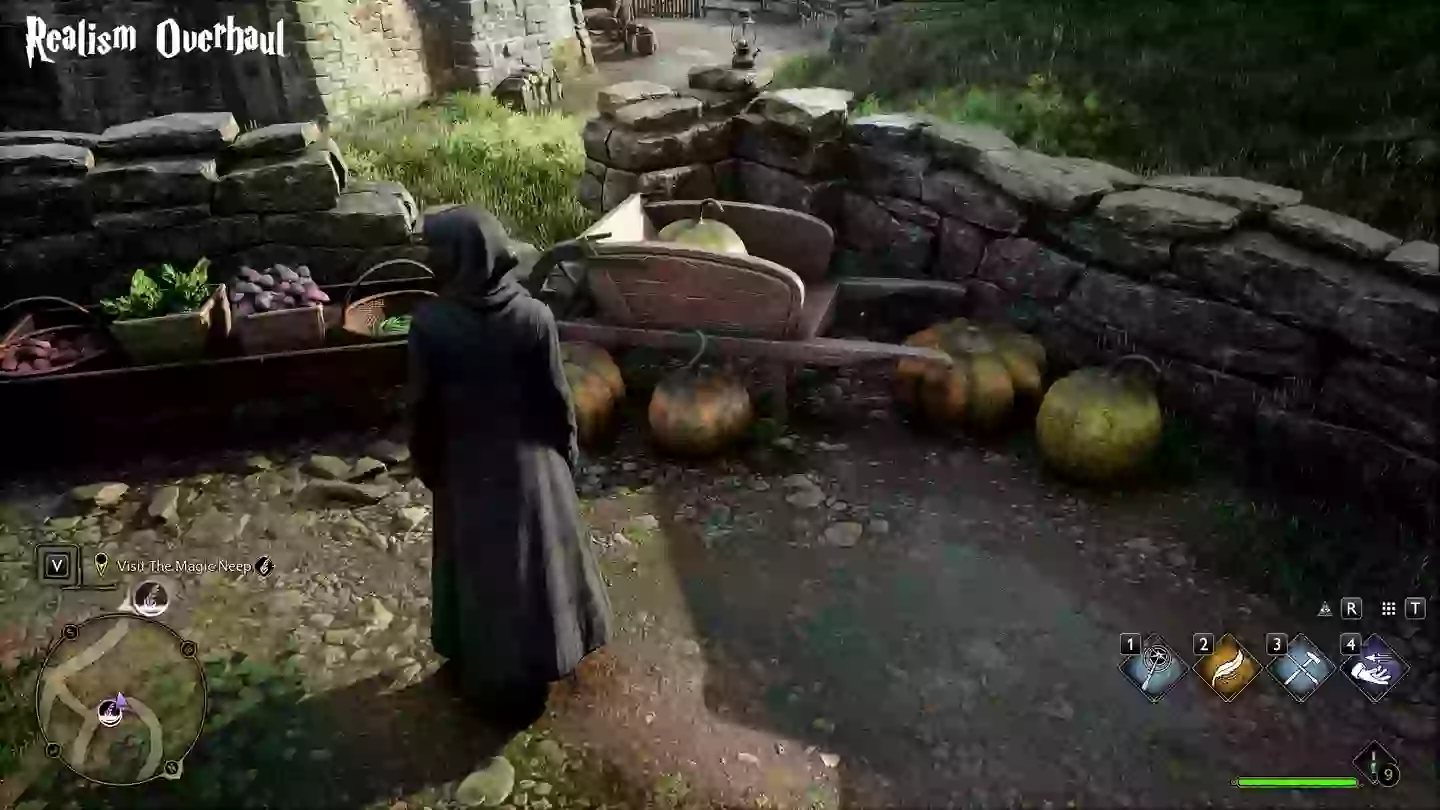 Hogwarts Legacy with the mod /