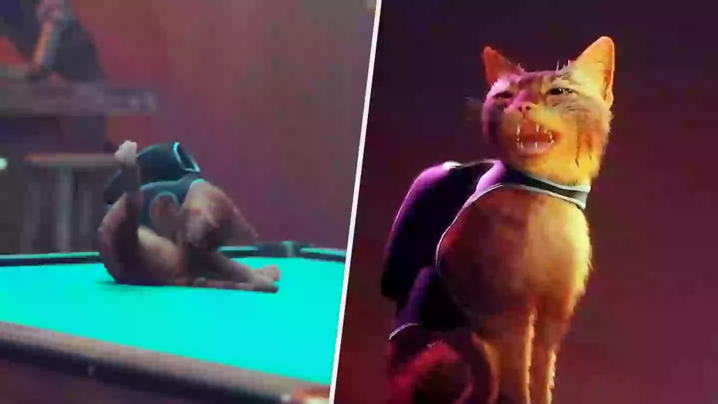 ‘Stray’ Preview: Embrace Your Inner Cat By Being As Annoying As Possible