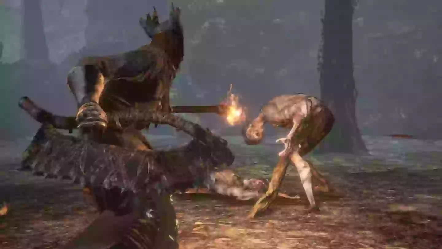 Dark Souls: Champion's Ashes will push you to the limit