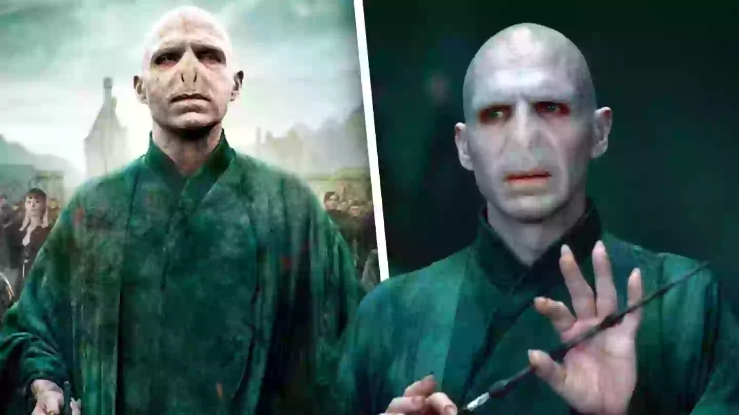 Harry Potter fans united over Voldemort prequel