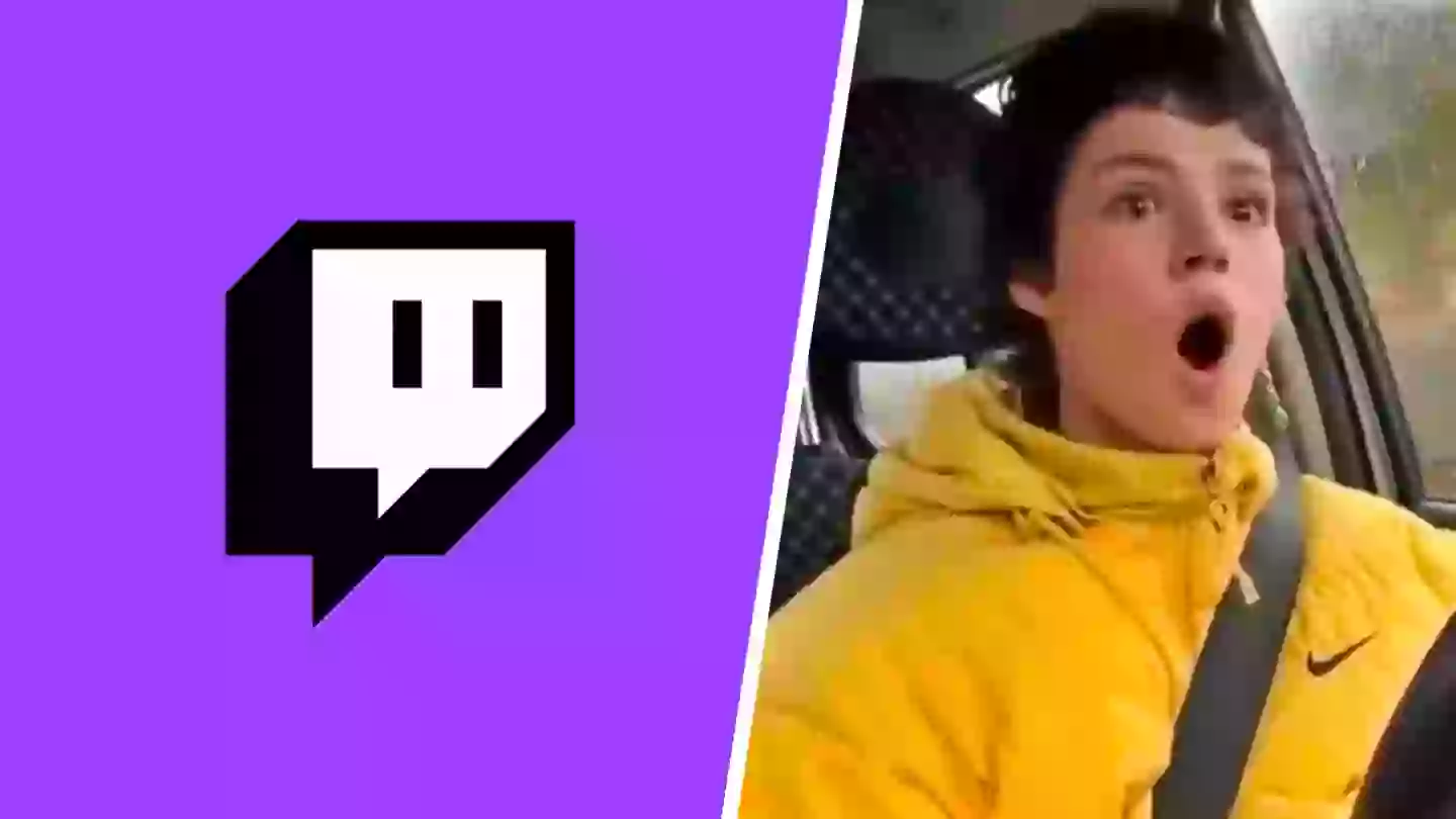Twitch streamer banned for seemingly running over a dog mid-broadcast