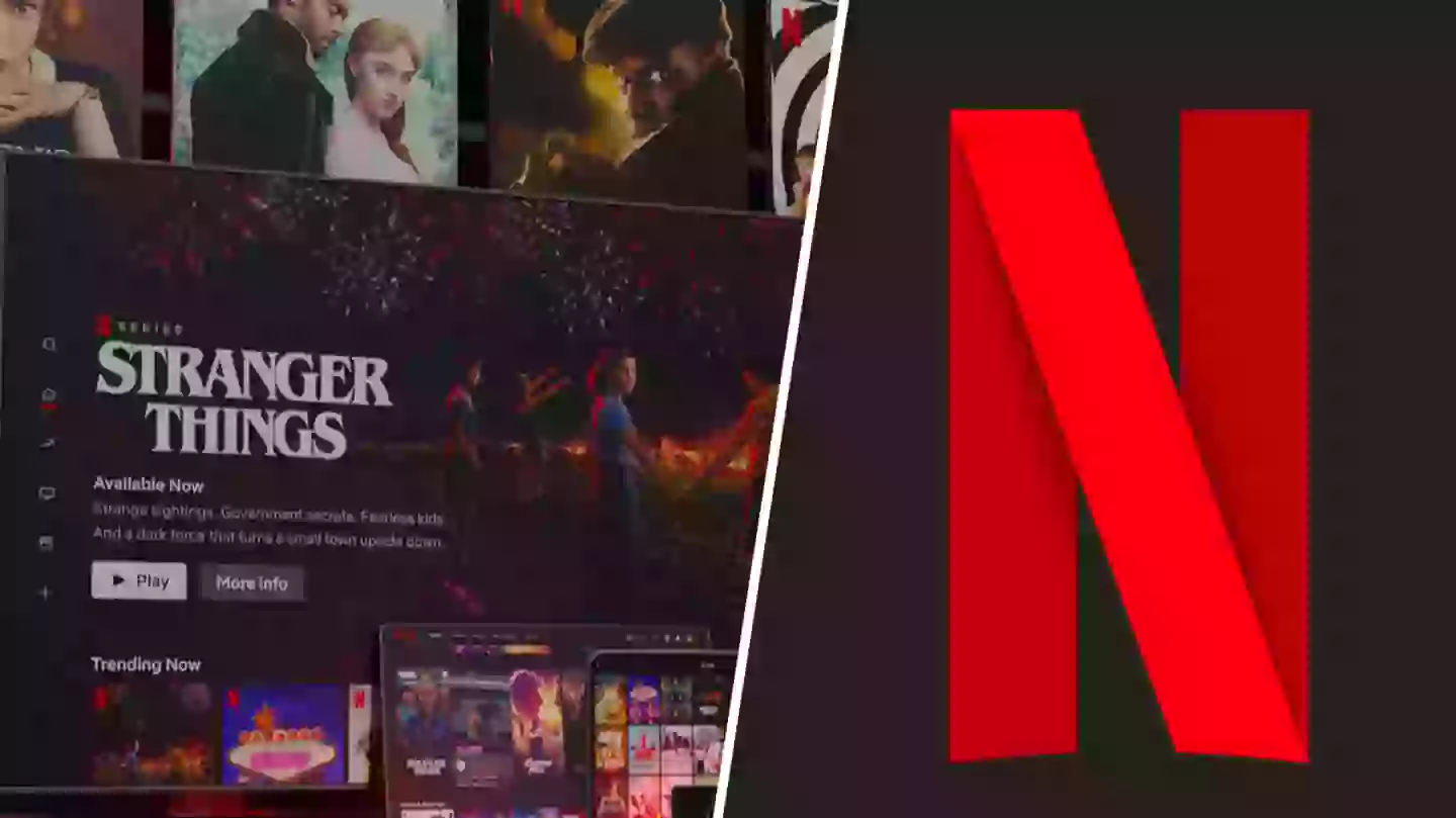 Netflix cancels two more shows after just one season