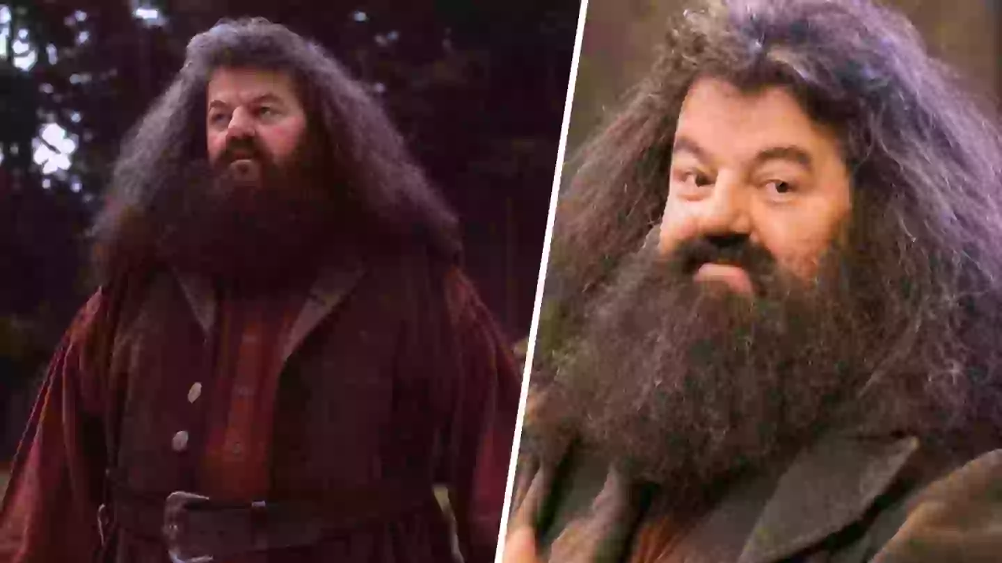 Harry Potter fans united over ‘perfect’ Hagrid casting for TV series