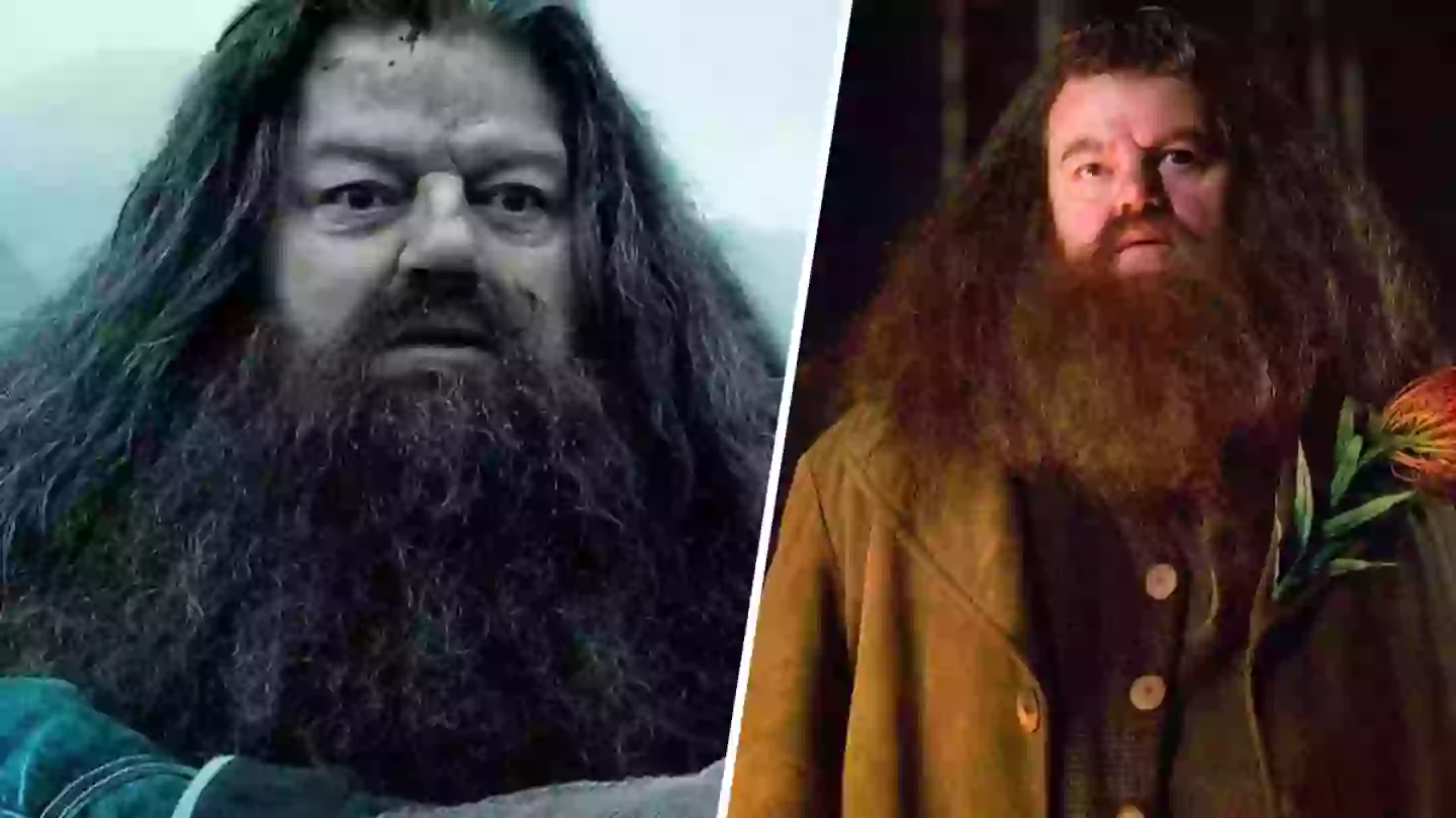 Harry Potter fans torn over Hagrid’s fate after Deathly Hallows