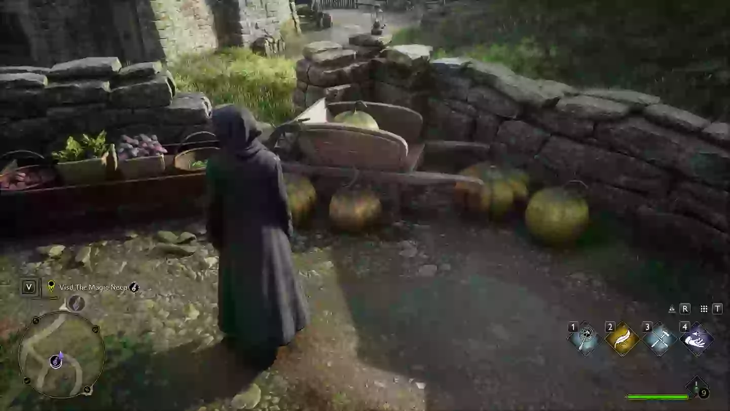 Hogwarts Legacy without the mod /