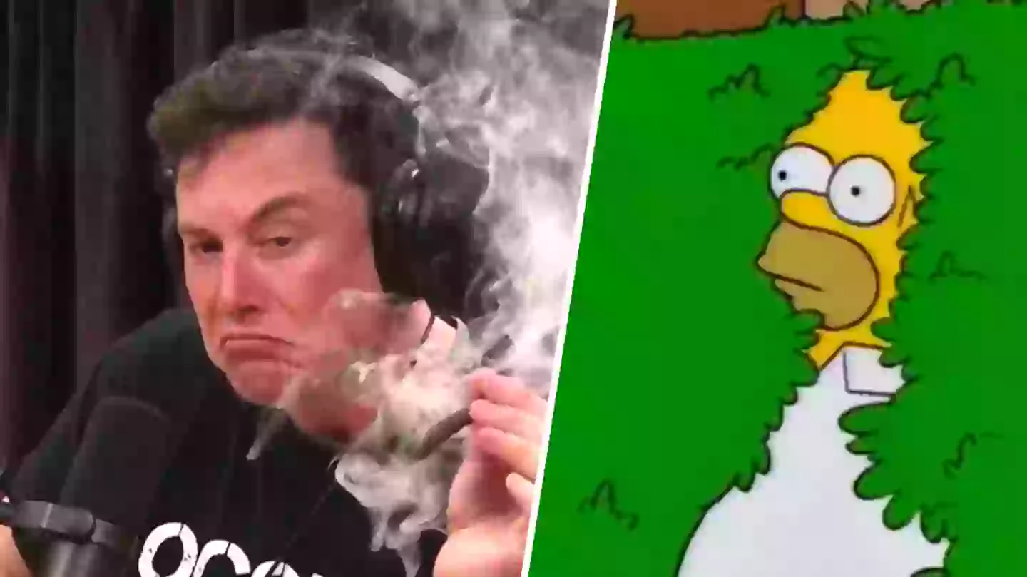 Twitter employees resign en masse in response to Musk’s latest request