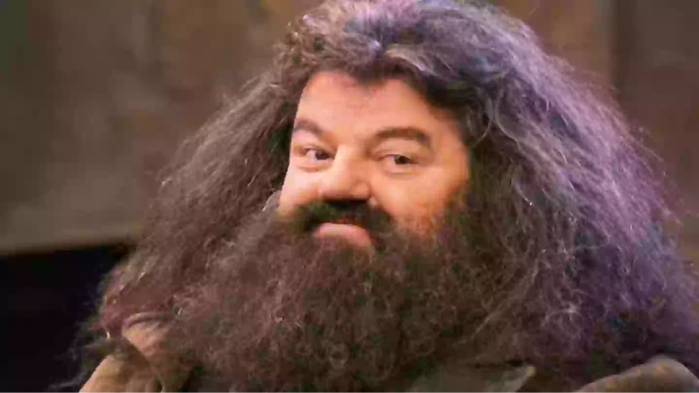 Harry Potter HBO series has found its Hagrid, and you’ll be very pleased