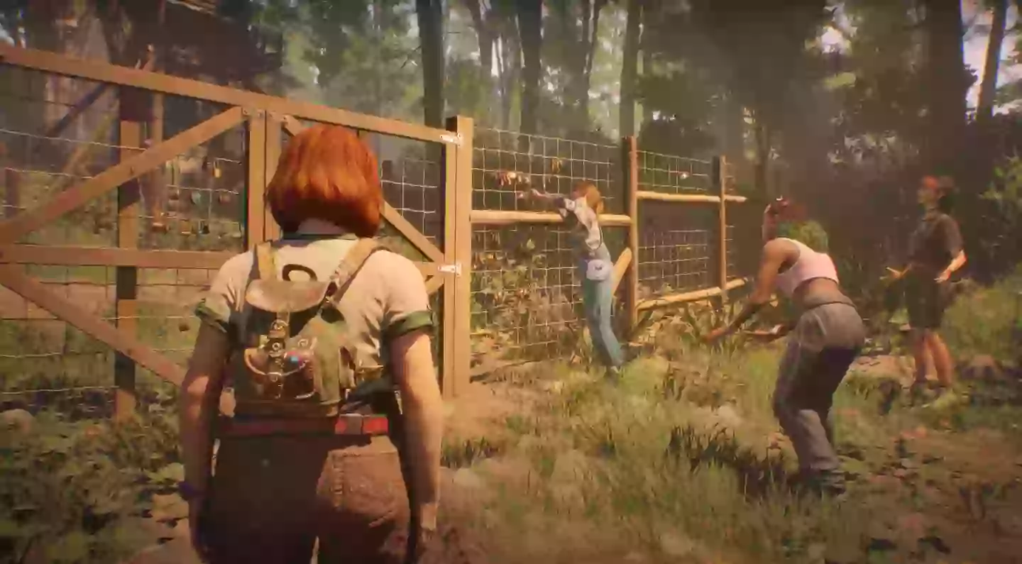 Credit / Don’t Nod