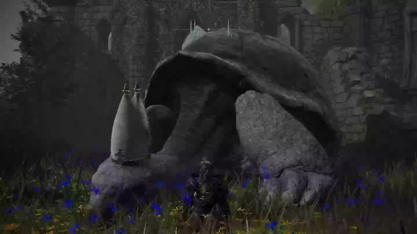 The Pope Tortoise – why call it anything else? /