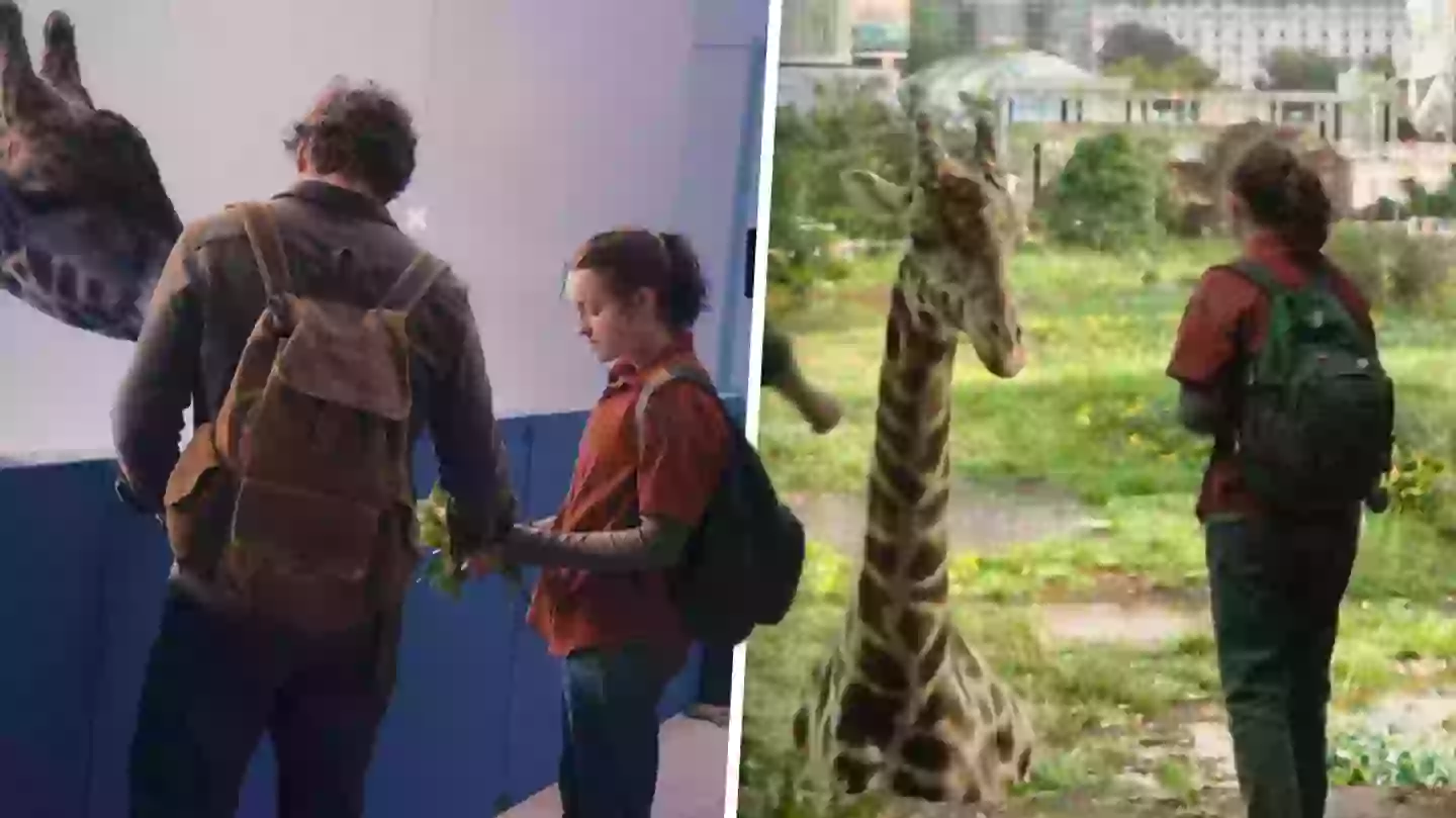The Last Of Us: Bella Ramsey calls giraffe scene a ‘spiritual experience’